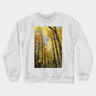 Autumn sun through the trees Crewneck Sweatshirt